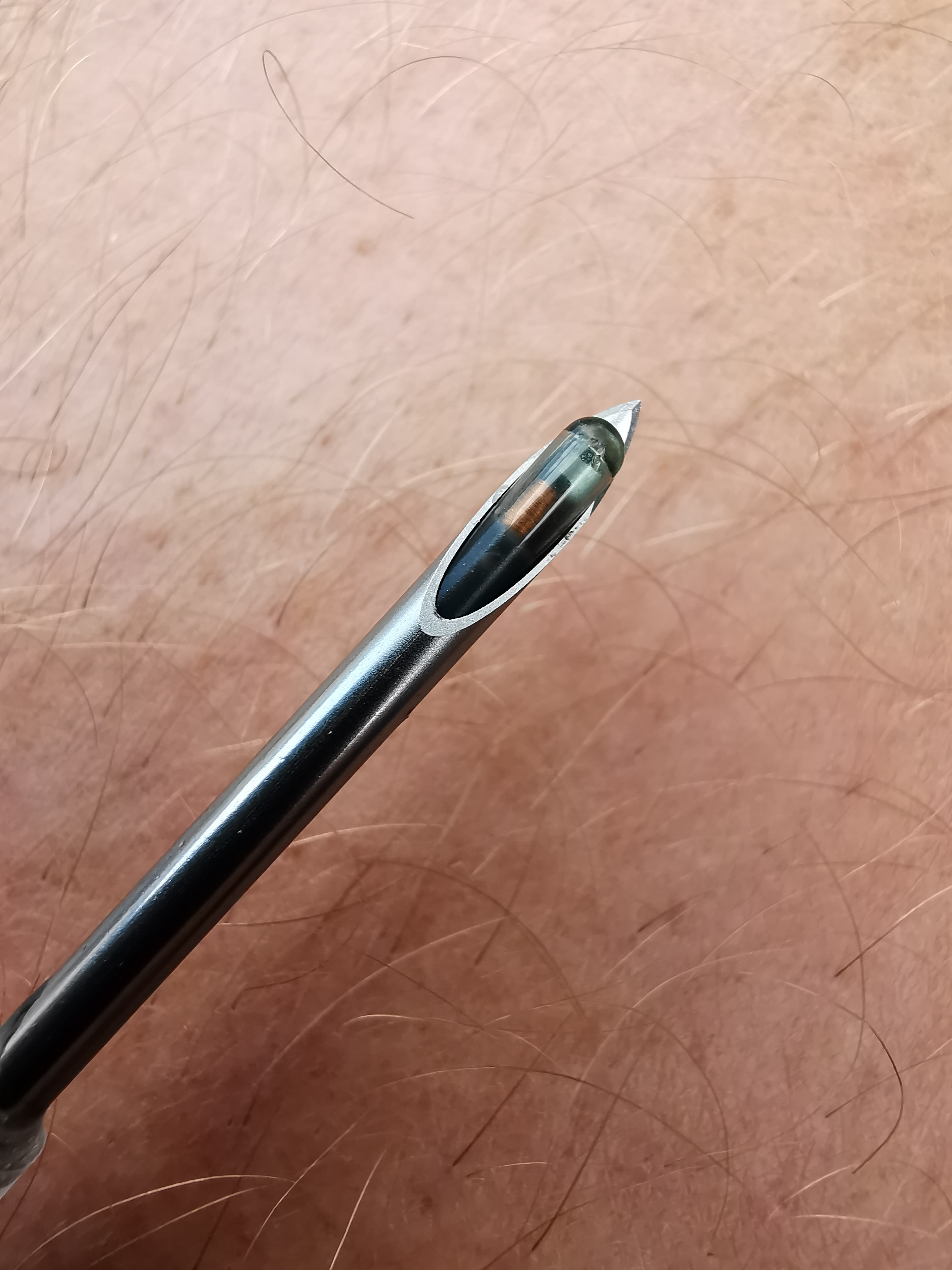Microchip vs Chapeta Electrónica para Ganado: Guía Práctica