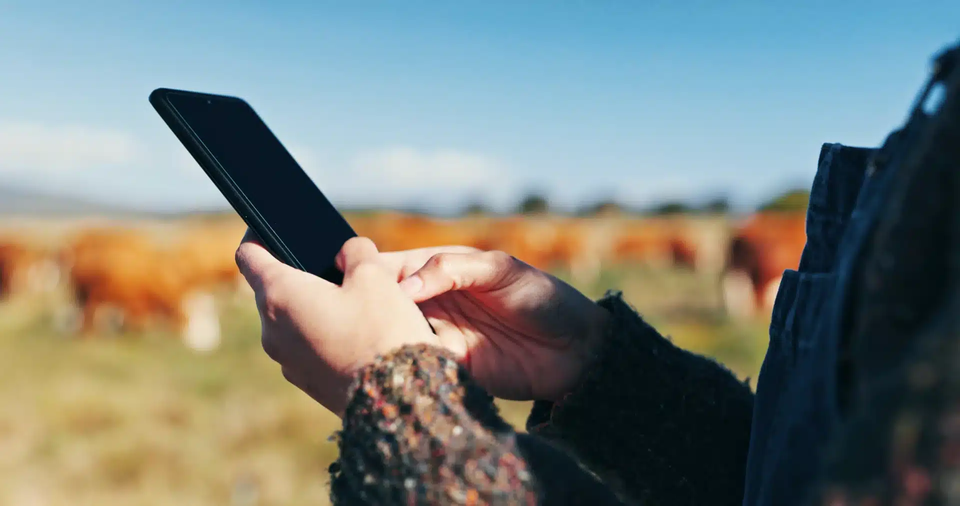 Roles en la App Ganadera: Dueño, Mayordomo y Veterinario