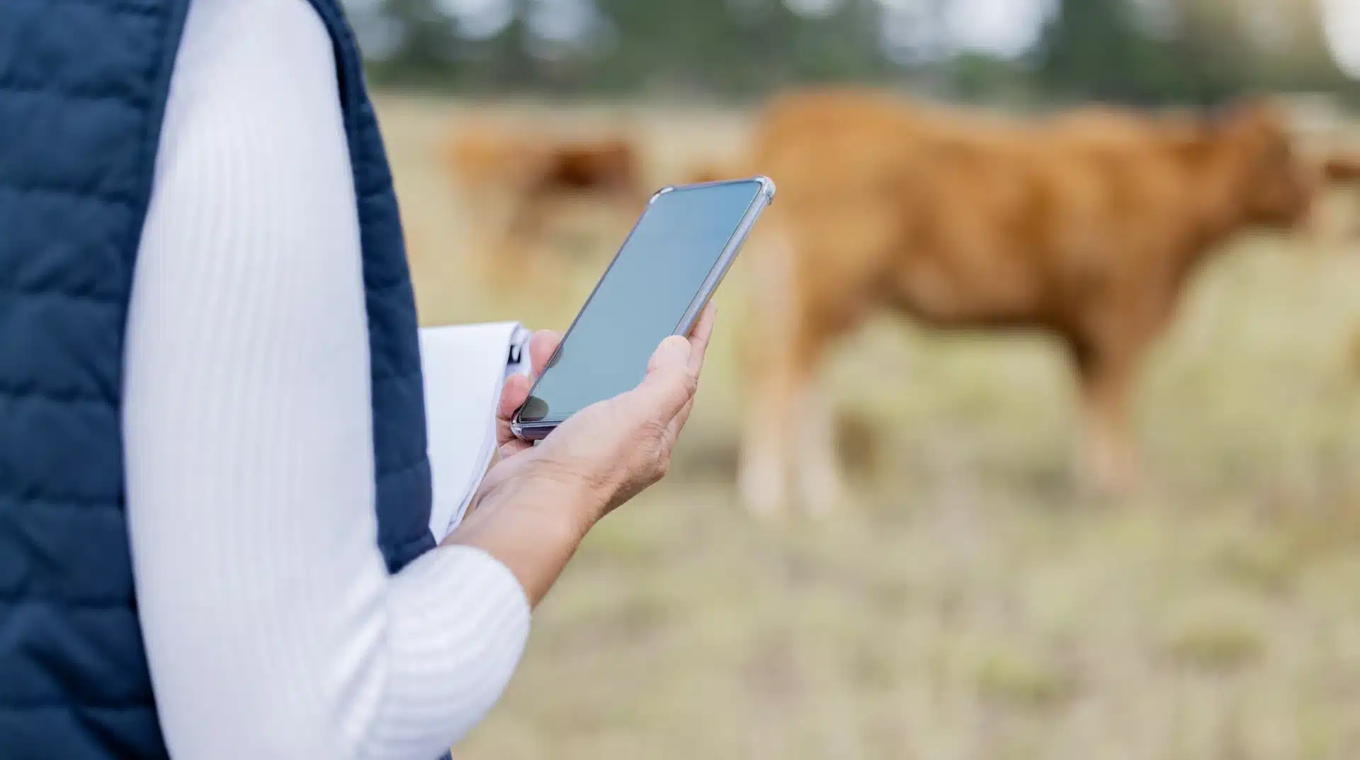 Reportes Ganaderos Digitales: Cómo Analizar los Datos de tu Finca