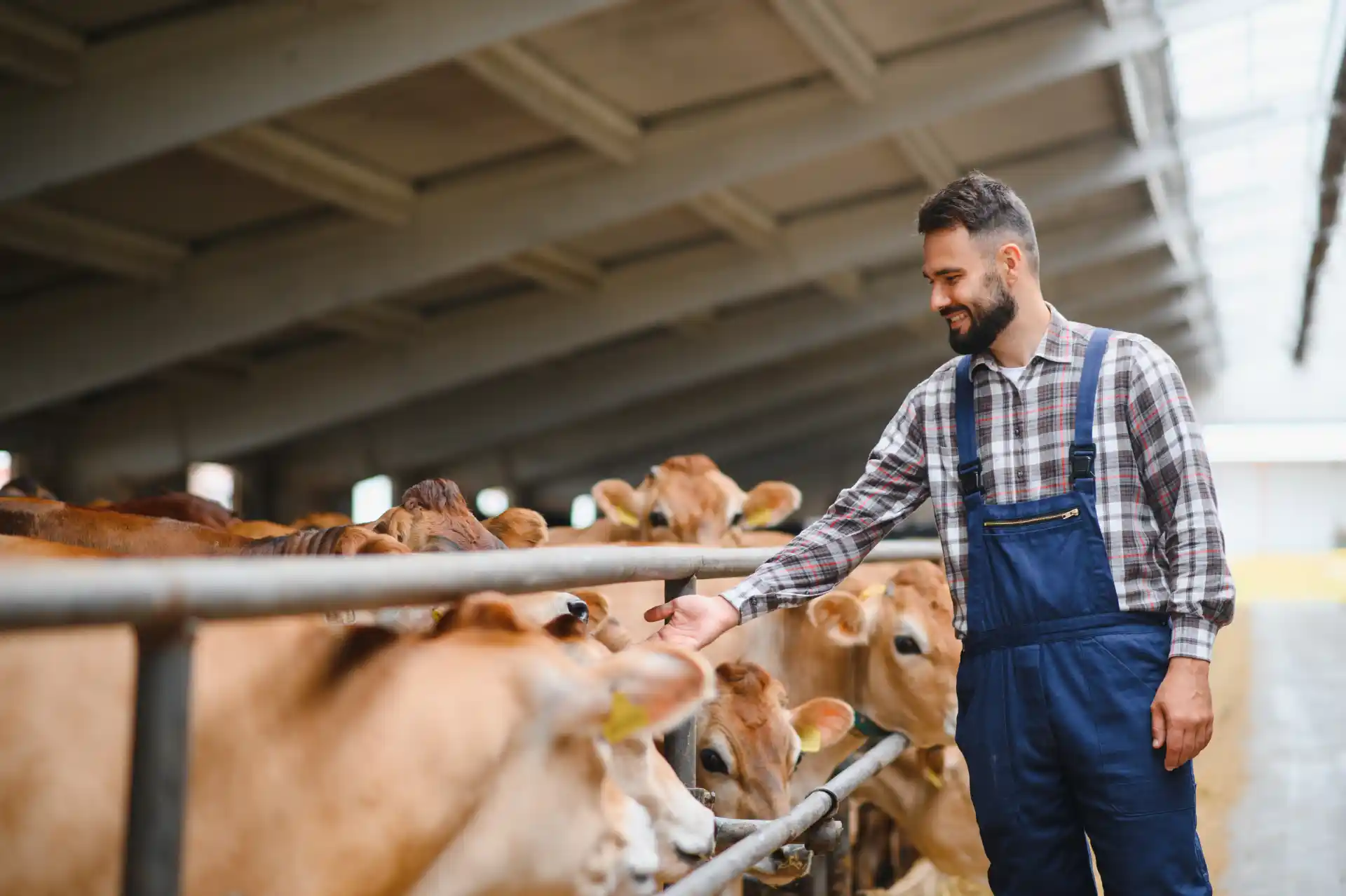 Costos por Animal: Cómo Medir la Rentabilidad de tu Finca