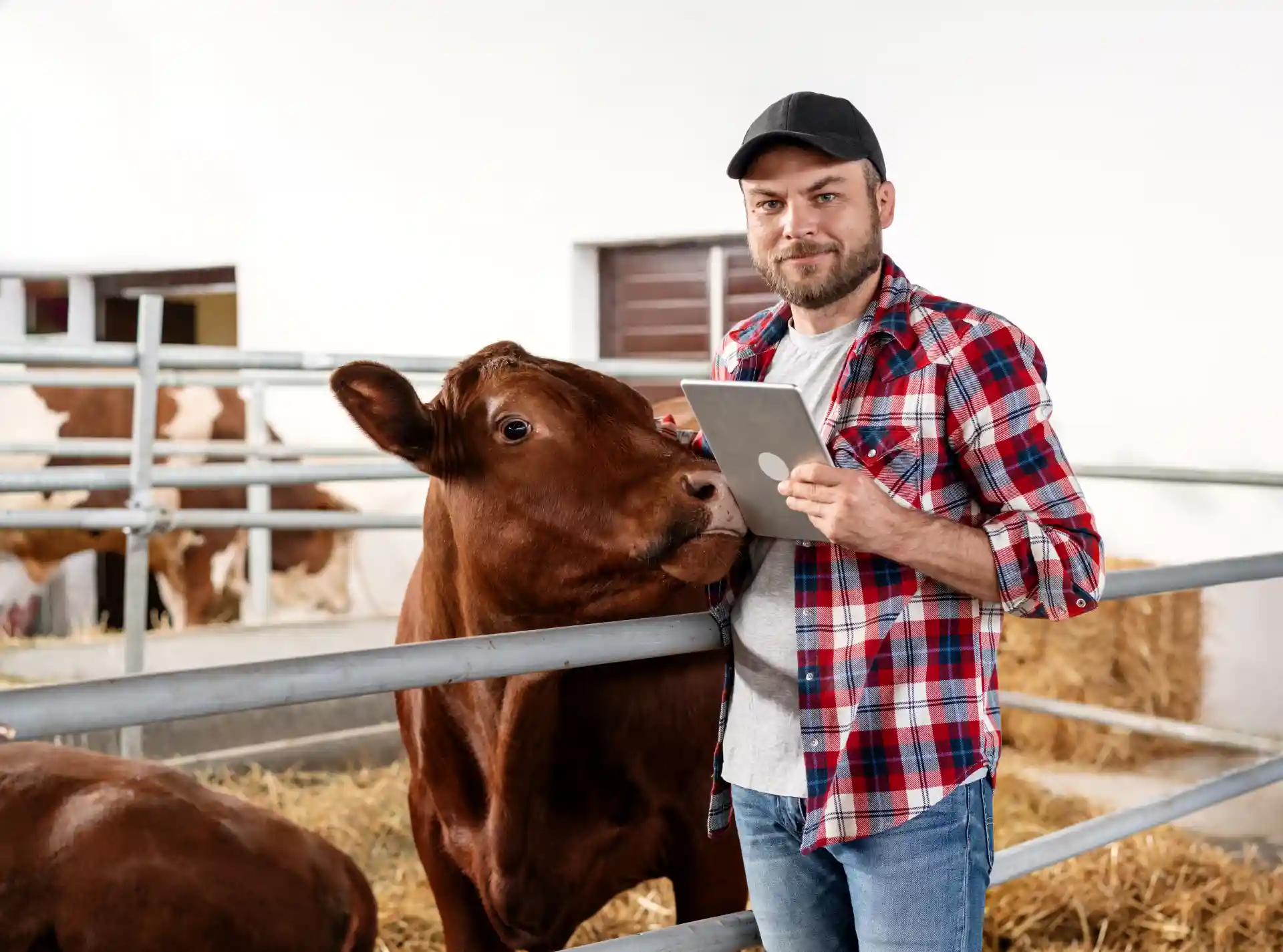 Suplementación Mineral del Ganado: Registro Digital para Mayor Rentabilidad