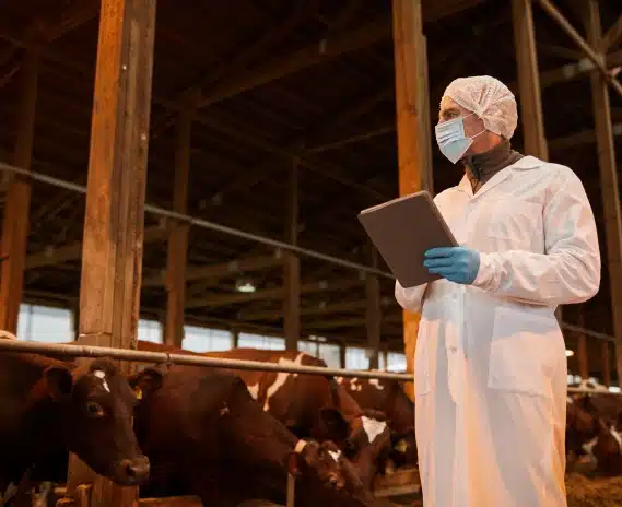 Toros Reproductores en Colombia: Cómo Digitalizar Su Gestión
