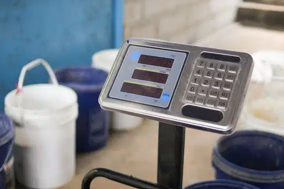 Pesaje Ganadero Digital: Cómo Funciona con Bluetooth