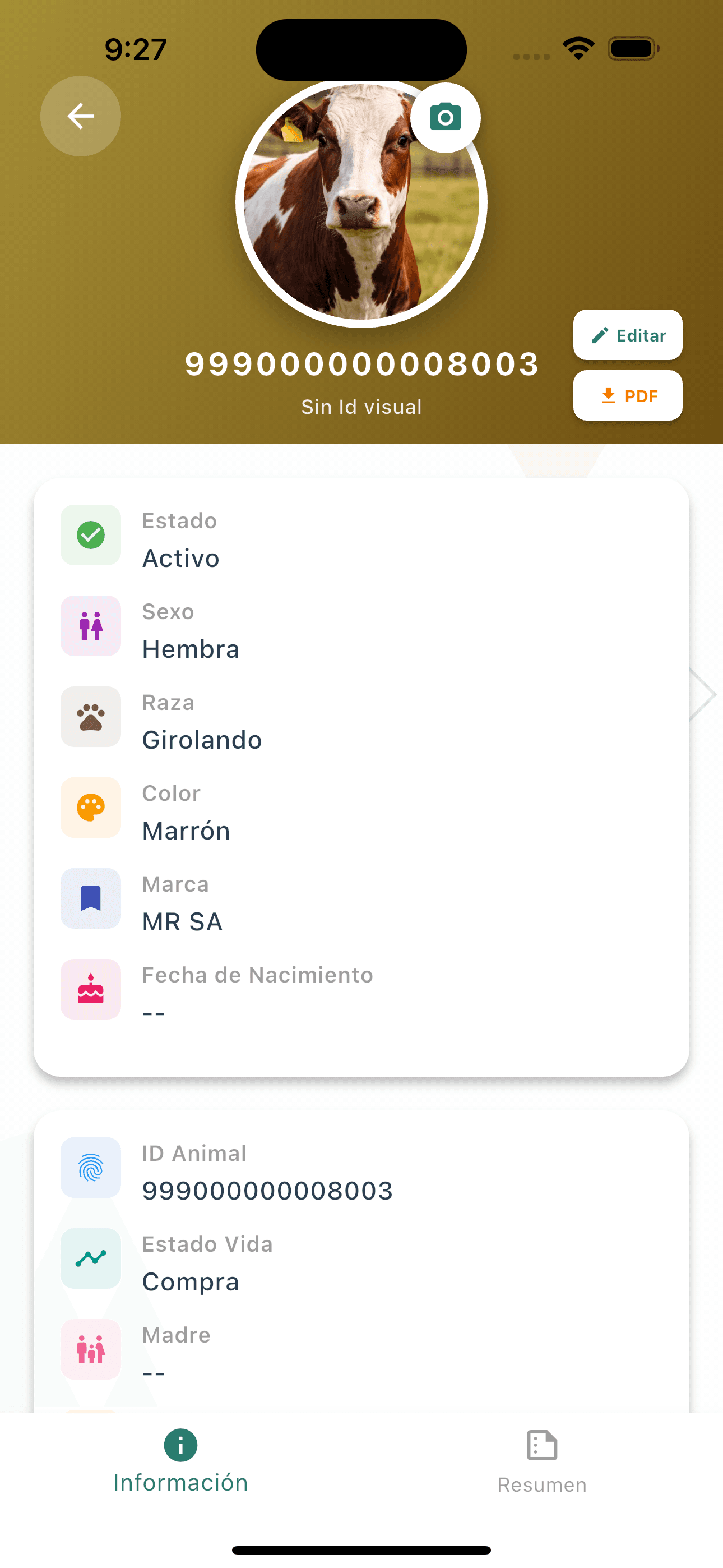 Cría y levante bovino: control digital desde el nacimiento