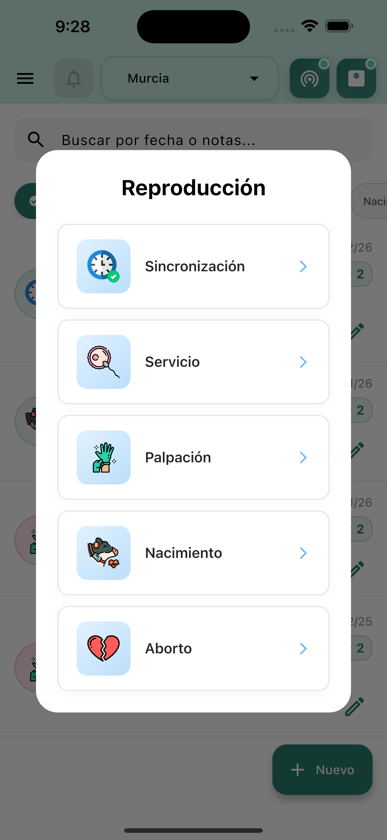 Partos bovinos: registro digital del nacimiento a la primera ID