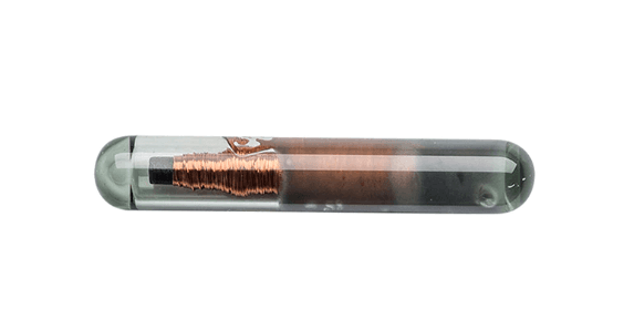 Microchip FDX-B para identificación electrónica de ganado bovino