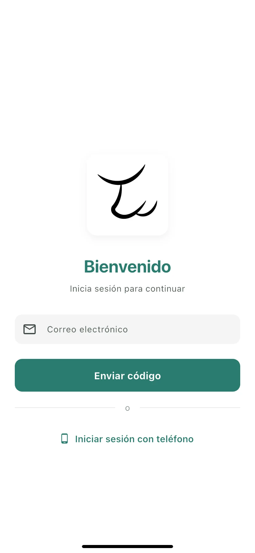 Sección de correo con el campo Correo electrónico y el botón Enviar código